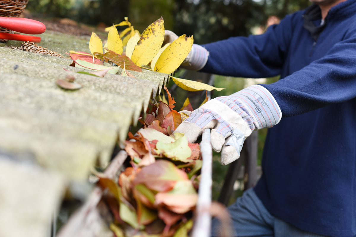 Person cleaning gutters. Zenith Properties NW in Clark County WA talks about how to prepare your home for fall.