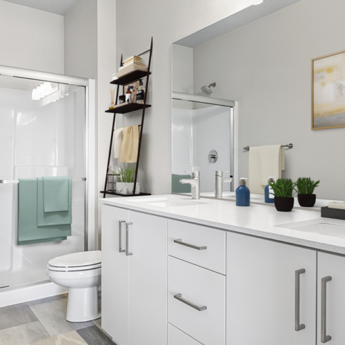 Modern Jack and Jill bathroom showing large walk-in shower