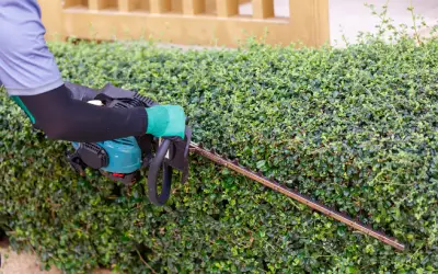 hedge trimming as part of spring property maintenance in vancouver wa